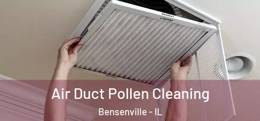 Air Duct Pollen Cleaning Bensenville - IL