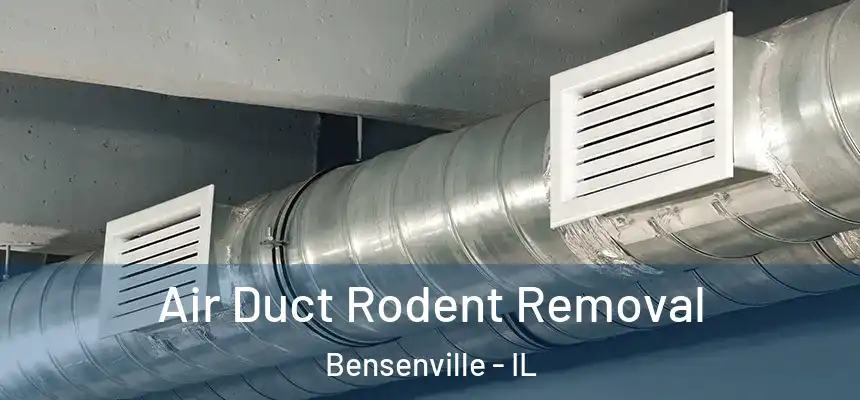  Air Duct Rodent Removal Bensenville - IL
