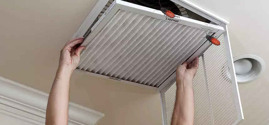 Preventive Cockroach-Proofing for Ducts in Bensenville