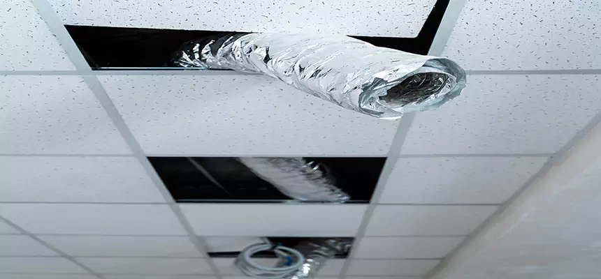 Affordable HVAC Sanitizing After Pest Removal in Bensenville