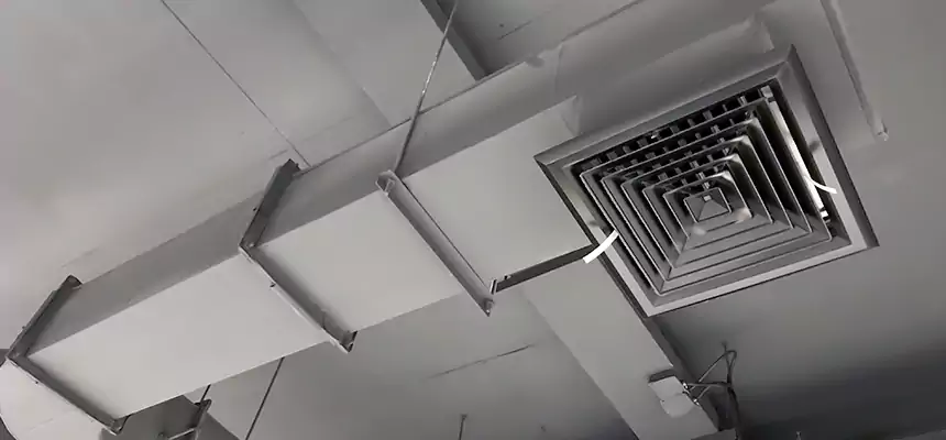 Our Pest Removal From Ducts Services in Bensenville, IL