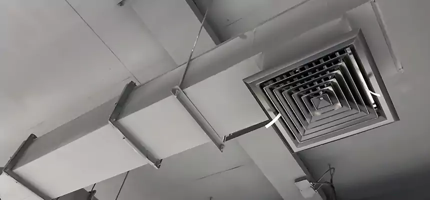 Our Rodent Droppings In Vents Services in Bensenville, IL