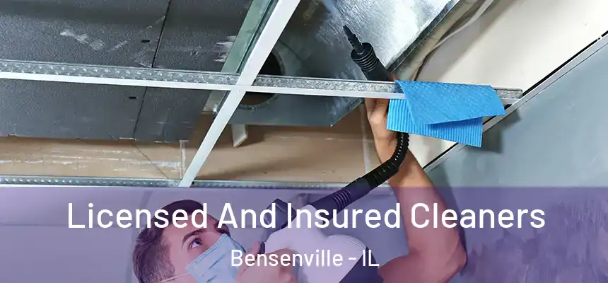Licensed And Insured Cleaners Bensenville - IL