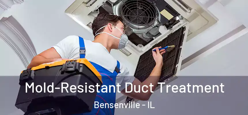  Mold-Resistant Duct Treatment Bensenville - IL
