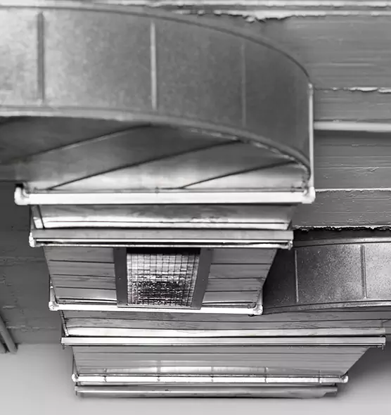 Professional Air Duct Pet Hair Removal in Bensenville, IL