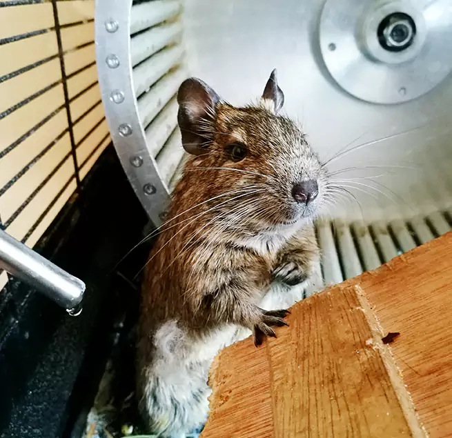 Why Homeowners & Businesses Trust Us Bensenville, IL?