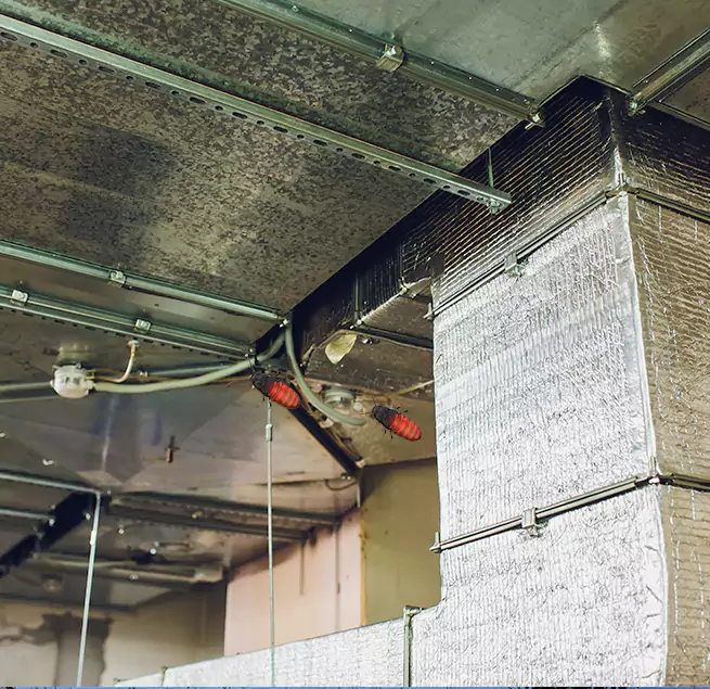 Why Homeowners & Businesses Trust Us Bensenville, IL?