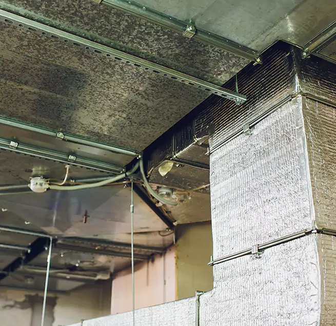 Why Homeowners & Businesses Trust Us in Bensenville, IL?